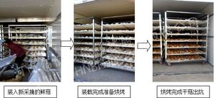 佰衡公司在黑龍江成功建立熱泵烤房烘幹猴頭菇示範點